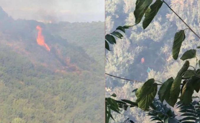 Sultangazi Şehir Ormanı yandı: 10 dönüm kül oldu